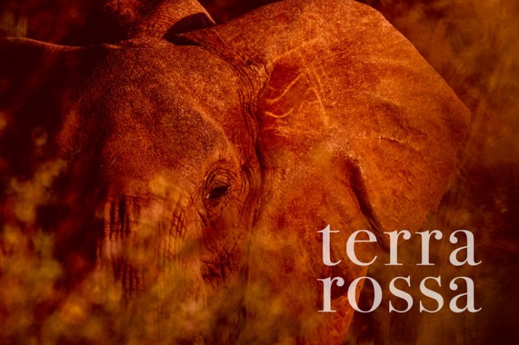 terra_rossa_kenya_fotografando_quaderni_massimiliano_brunelli_simone_deglinnocenti